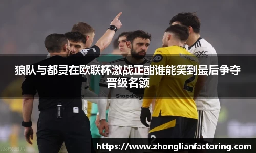 狼队与都灵在欧联杯激战正酣谁能笑到最后争夺晋级名额