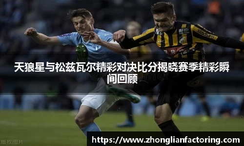 天狼星与松兹瓦尔精彩对决比分揭晓赛季精彩瞬间回顾